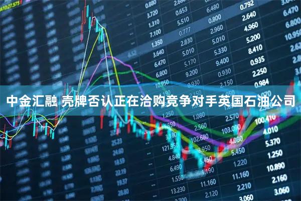 中金汇融 壳牌否认正在洽购竞争对手英国石油公司