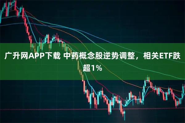 广升网APP下载 中药概念股逆势调整，相关ETF跌超1%