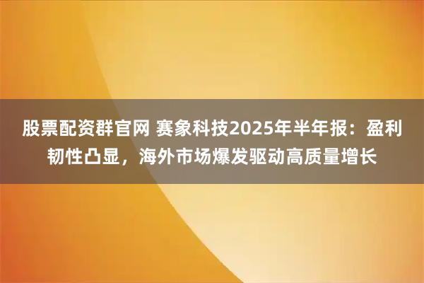 股票配资群官网 赛象科技2025年半年报：盈利韧性凸显，海外市场爆发驱动高质量增长